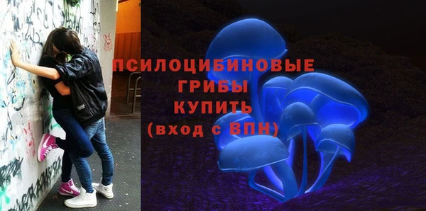 МДПВ Абаза